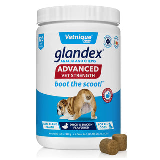 glandex anal gland soft chews supplement