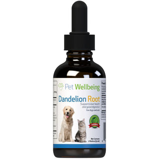 Dandelion root for cats works great for cat liver health and cat digestion