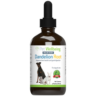 4 oz bottle of dandelion root by pet wellbeing