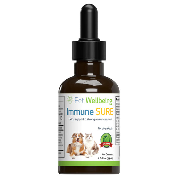 Immune sure provides natural immune system support for cats