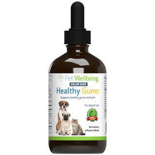 Healthy Gums for Feline Periodontal Health