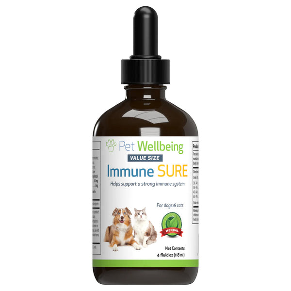 This herbal immune booster for cats is made with echinacea and elderberry