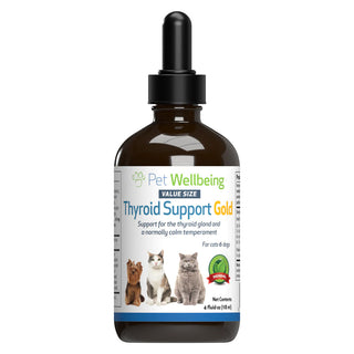 Herbal thyroid support for cats in a 4 oz bottle