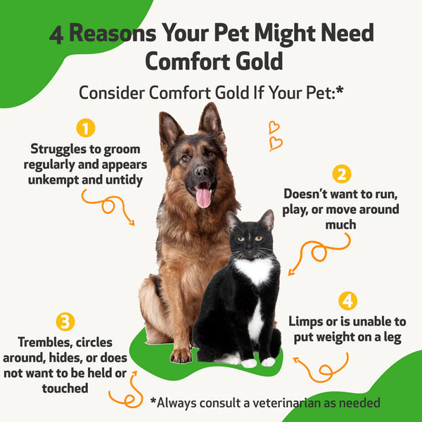 Comfort Gold for dogs
