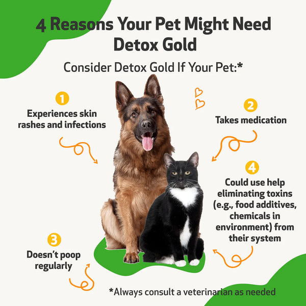 Detox gold is a great addition to your pet's diet especially if they take medication.