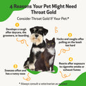 Stop dog throat irritation with throat gold for dogs