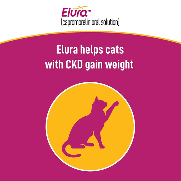 Elura for Cats CKD
