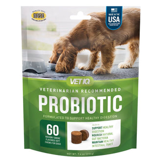 VetIQ Probiotic Soft Chew Supplement for Dogs (60 soft chews)