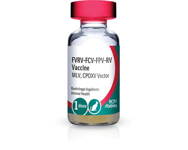 Single dose vial of PureVax Feline 3/Rabies vaccine on a pristine background