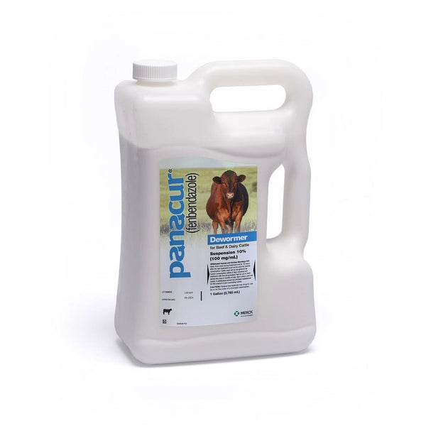 Panacur liquid dewormer for veterinary use displayed on a white surface