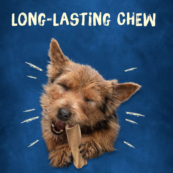 Busy Bone Mini Long Lasting Chew Dog Treats