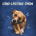 Busy Rib Hide Long-Lasting Beef Hide Chew Small/Medium Dog Treat dog chewing