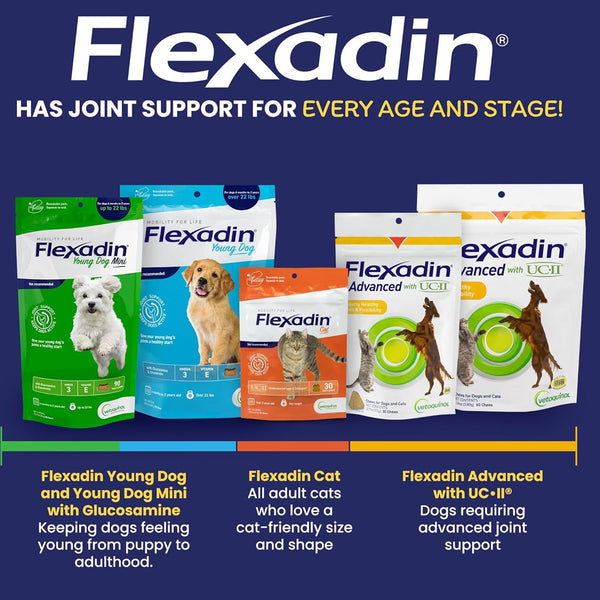 Flexadin Young Dog Mini Joint Supplement Variety