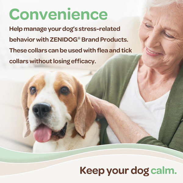 ZENIDOG collar to enhance the bond between pets and their owners