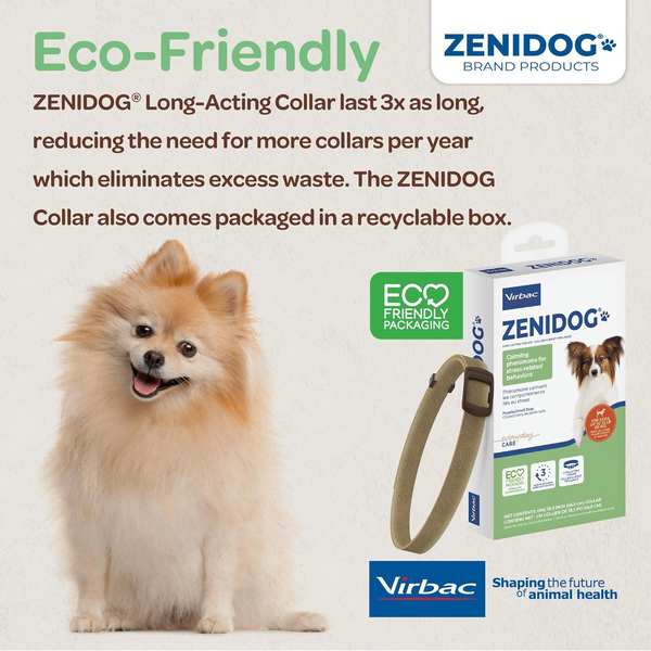 Small dog wearing the eco-friendly ZENIDOG calming collar
