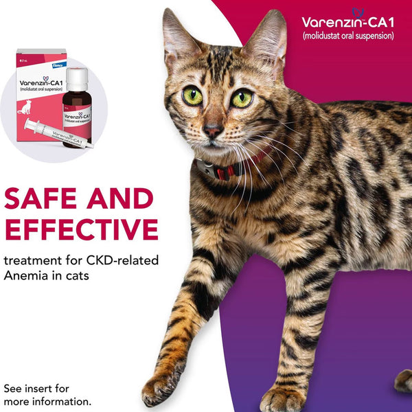 Varenzin - CA1 Safe and Effective