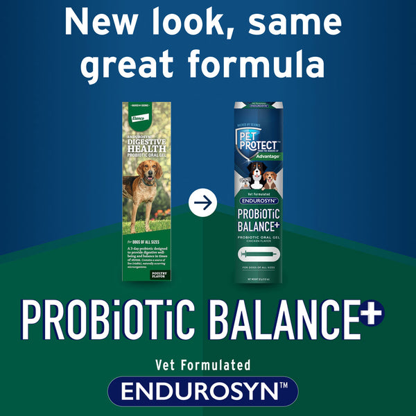Pet Protect Probiotic Balance Plus Oral Gel Endurosyn for Dogs new look 