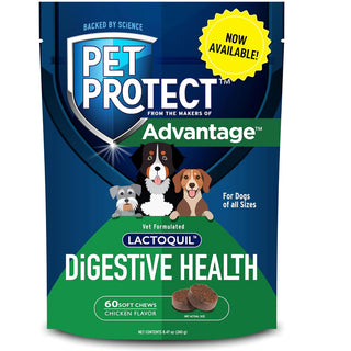 Pet Protect Digestive Health Lactoquil for Dogs, Chicken Flavor, 60 Soft Chews