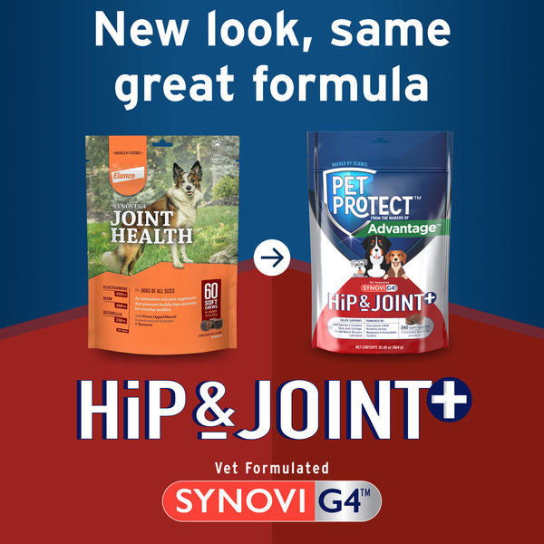 Pet Protect Hip & Joint Synovi G4 for Dogs new look 