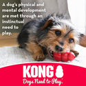 Kong Puppy Goodie Bone Chew Toy For Puppies- Small (assorted color) 
