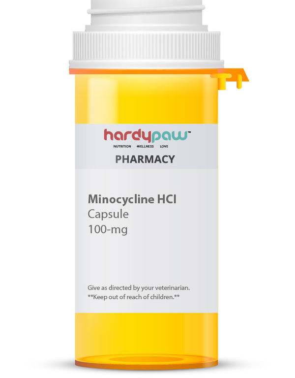 Minocycline (Generic) Capsules, 100mg