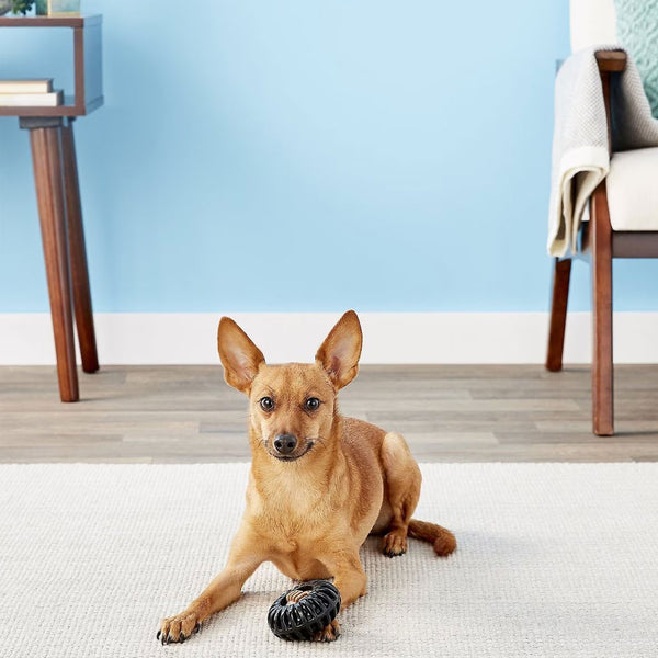 Starmark Everlasting Treat Wheeler Tough Dog Chew Toy with small dog