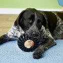 Starmark Everlasting Treat Wheeler Tough Dog Chew Toy with large dog