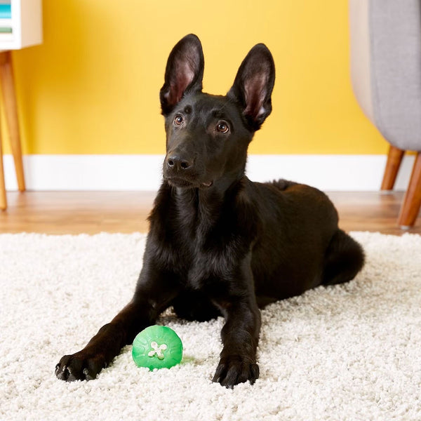 Starmark Treat Dispensing Chew Ball Tough Dog Toy medium dog with toy