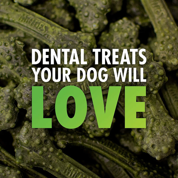 VetIQ Minties Medium/Large Dental Bone Dog Treats